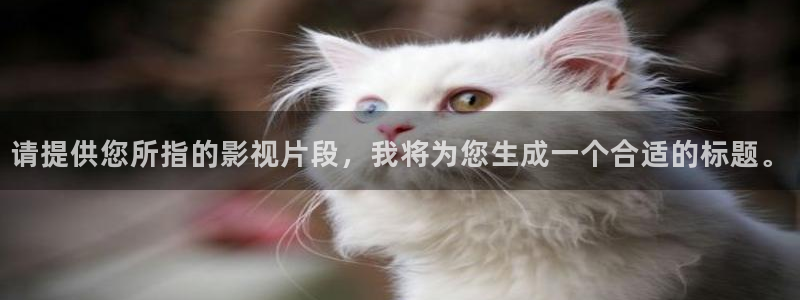被窝影院手机免费观看